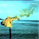 A Man About A Horse di Steve Tibbetts - CD