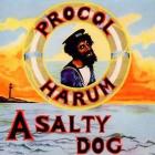 A_Salty_Dog_-Procol_Harum