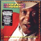 Boozoo  Hoodoo! di Boozoo Chavis - CD