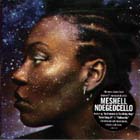 Comfort_Woman-Meshell_Ndegeocello