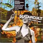 Palm_Trees_And_Power_Lines-Sugarcult