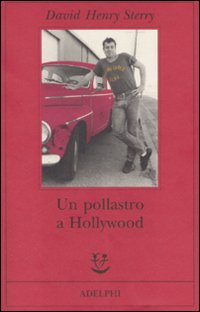 Pollastro A Hollywood (un)  di Sterry David H. - libri