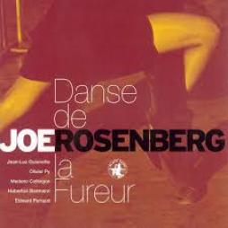 Danse De La Fureur di Joe Rosenberg  - CD