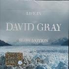 Slow Motion di David Gray - CD Slow Motion di David Gray - CD