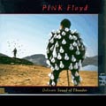 Delicate Sound Of Thunder di Pink Floyd - CD Delicate Sound Of Thunder di Pink Floyd - CD