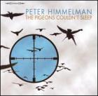 The_Pigeon's_Couldn't_Sleep_-Peter_Himmelman