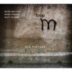 Big Picture di Myra Melford - CD Big Picture di Myra Melford - CD
