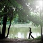 Comme Si De Rien N'etait di Carla Bruni - CD Comme Si De Rien N'etait di Carla Bruni - CD