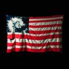 Set 'Em Wild , Set 'Em Free  di Akron Family - CD