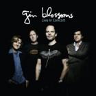 Live In Concert di Gin Blossoms - CD