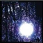 Luminous Night di Six Organs Of Admittance - CD Luminous Night di Six Organs Of Admittance - CD
