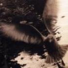 A Tribute To John Denver  di Take Me Home - CD