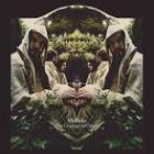 The_Courage_Of_Others_-Midlake