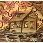 Dreamhouse-Steve_Poltz