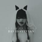 Sleepwalkers  di David Sylvian - CD