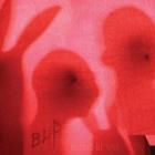 Blood Bunny / Black Rabbit di Black Heart Procession - CD