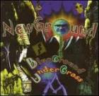 New Ground  di Blueground Undergrass - CD