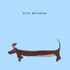 Edie_Brickell-Edie_Brickell