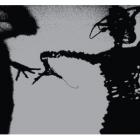 Dynamite_Steps_-Twilight_Singers