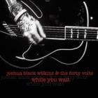 While You Wait di Joshua Black Wilkins - CD While You Wait di Joshua Black Wilkins - CD