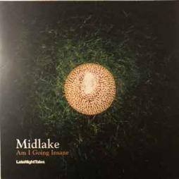 Am_I_Going_Insane_-Midlake
