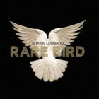 Rare Bird  di Shawn Lombard - CD