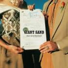 Chore_Of_Enchantment_-Giant_Sand