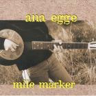 Mile Marker  di Ana Egge - CD Mile Marker  di Ana Egge - CD