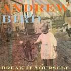 Break It Yourself di Andrew Bird - CD / DVD