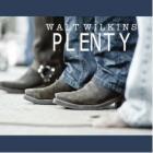 Plenty di Walt Wilkins - CD
