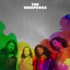 The Sheepdogs di Sheepdogs - CD