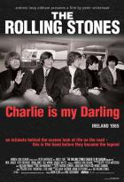 Charlie Is My Darling, Ireland 1965 di Rolling Stones - Blu Ray