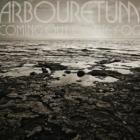 Coming_Out_Of_The_Fog-Arbouretum