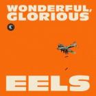 Wonderful , Glorious  di Eels