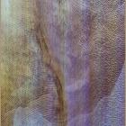 Sub Verses di Akron Family - CD Sub Verses di Akron Family - CD