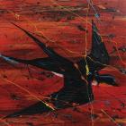 Barnswallow di Charlie Parr - CD