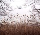 Raven di Paula Cole - CD 
