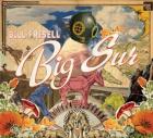 Big_Sur_-Bill_Frisell