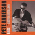 Birds Above Guitarland di Pete Anderson - CD