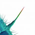 And I'll Scratch Yours di Peter Gabriel - CD