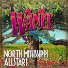 Wanee_Music_Festival_2013_-North_Mississippi_Allstars