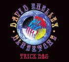 Trick_Bag_-David_Shelley_%26_Bluestone