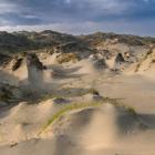 Dune Worship di White Manna - CD