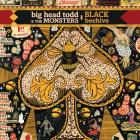 Black Beehive di Big Head Todd And The Monsters - CD