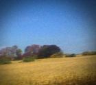 Benji-Sun_Kil_Moon