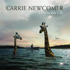 A Permeable Life  di Carrie Newcomer - CD