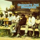 Best Of  di Gus Cannon - CD