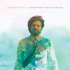 The Shipwreck From The Shore  di Anthony D'Amato - CD