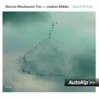 Spark Of Life di Marcin Wasilewski - CD Spark Of Life di Marcin Wasilewski - CD