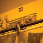 The Republic di Sam Prekop - CD The Republic di Sam Prekop - CD